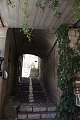 thn_IMG_7980.jpg