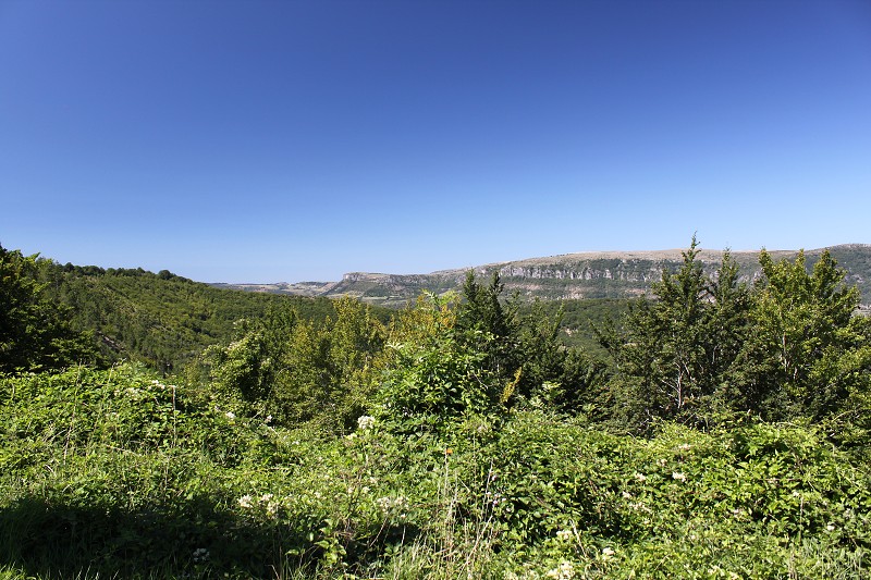 IMG_8037.jpg