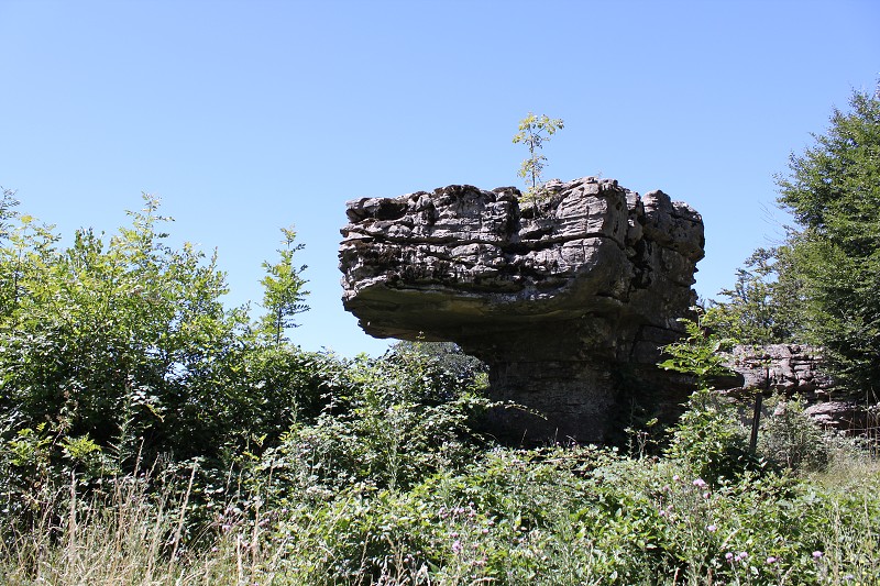 IMG_8044.jpg