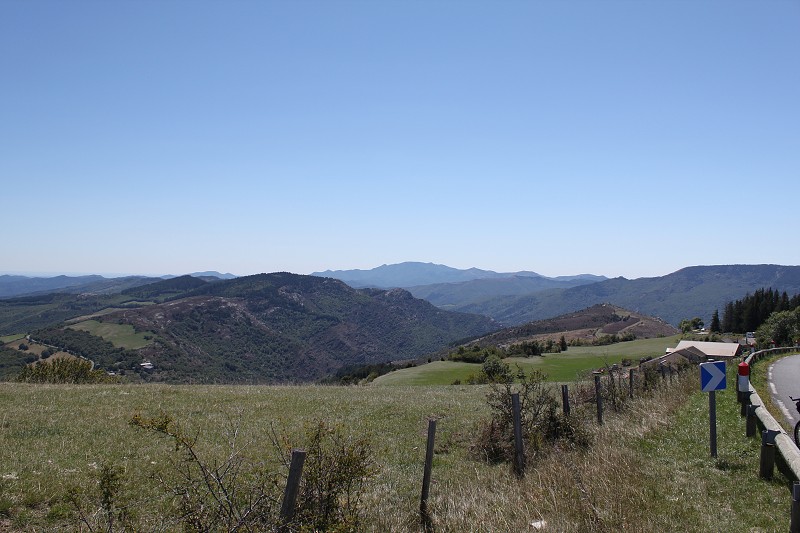 IMG_8051.jpg