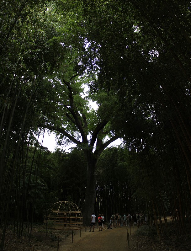 IMG_8162_panorama.jpg