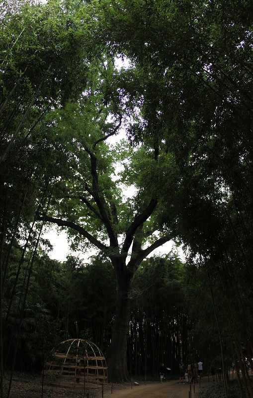 IMG_8165_panorama.jpg