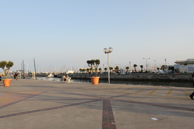 IMG_8282.jpg
