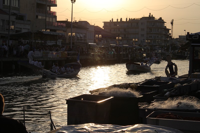 IMG_8290.jpg