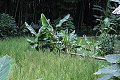 thn_IMG_8138.jpg