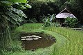 thn_IMG_8139.jpg