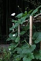 thn_IMG_8155.jpg