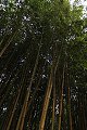 thn_IMG_8157.jpg