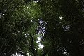 thn_IMG_8162.jpg