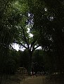 thn_IMG_8162_panorama.jpg