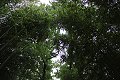 thn_IMG_8165.jpg