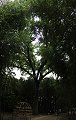 thn_IMG_8165_panorama.jpg