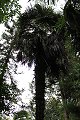 thn_IMG_8171.jpg