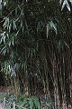 thn_IMG_8173.jpg