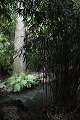 thn_IMG_8175.jpg
