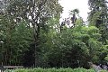 thn_IMG_8177.jpg