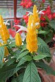 thn_IMG_8181.jpg