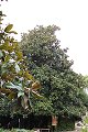 thn_IMG_8183.jpg