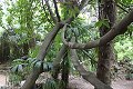 thn_IMG_8193.jpg