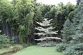 thn_IMG_8202.jpg