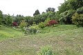 thn_IMG_8206.jpg