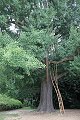 thn_IMG_8214.jpg