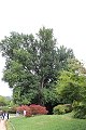 thn_IMG_8216.jpg