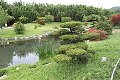 thn_IMG_8218.jpg