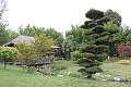 thn_IMG_8221.jpg