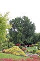 thn_IMG_8225.jpg