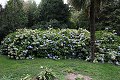 thn_IMG_8234.jpg