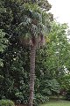 thn_IMG_8238.jpg