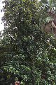 thn_IMG_8239.jpg