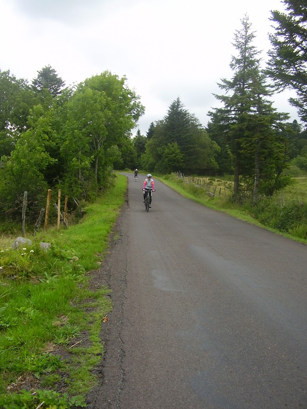 P1010027.jpg