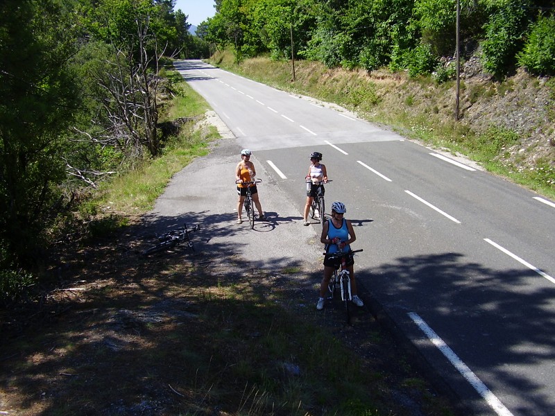 P1010275.jpg