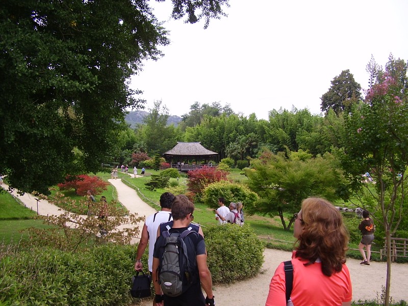 P1010293.jpg