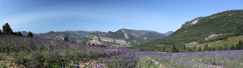 IMG_0330_panorama.jpg