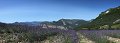 thn_IMG_0319_panorama.jpg
