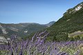 thn_IMG_0326.jpg