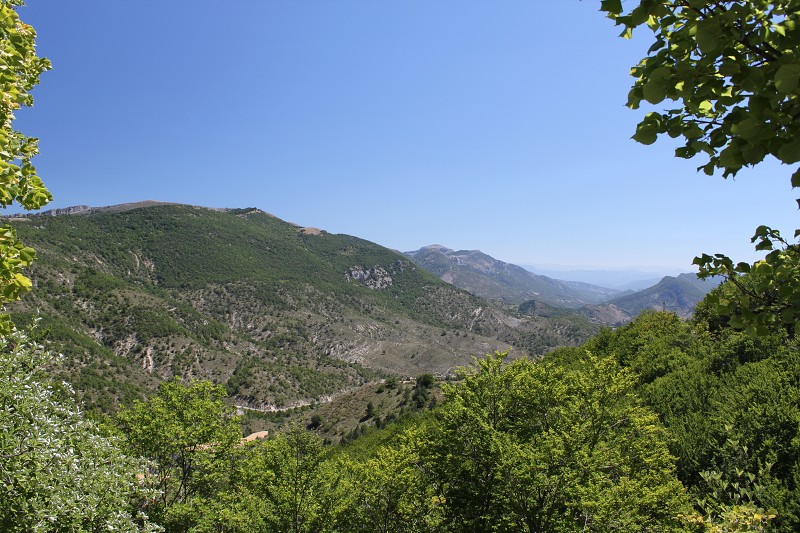 IMG_0357.jpg