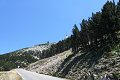thn_IMG_0394.jpg