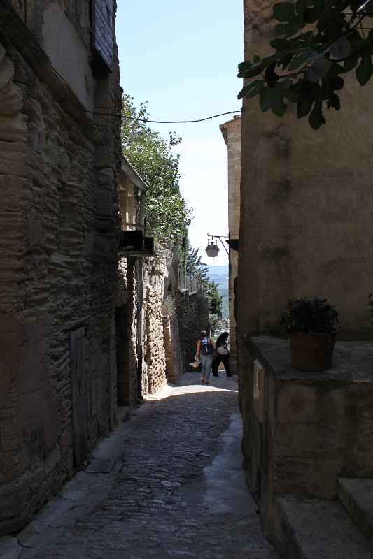 IMG_0501.jpg