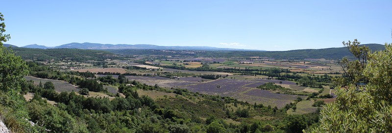 IMG_0517_panorama.jpg