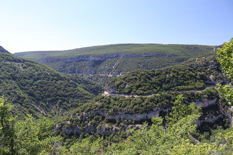 IMG_0547.jpg