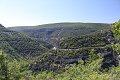 thn_IMG_0547.jpg
