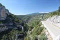 thn_IMG_0559.jpg