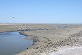 thn_IMG_0652.jpg