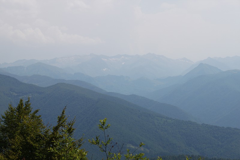 IMG_0730.jpg