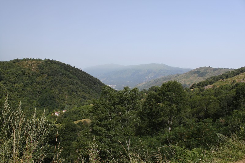 IMG_0753.jpg