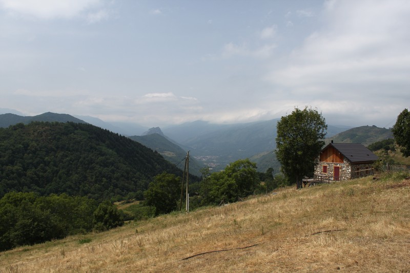 IMG_0773.jpg
